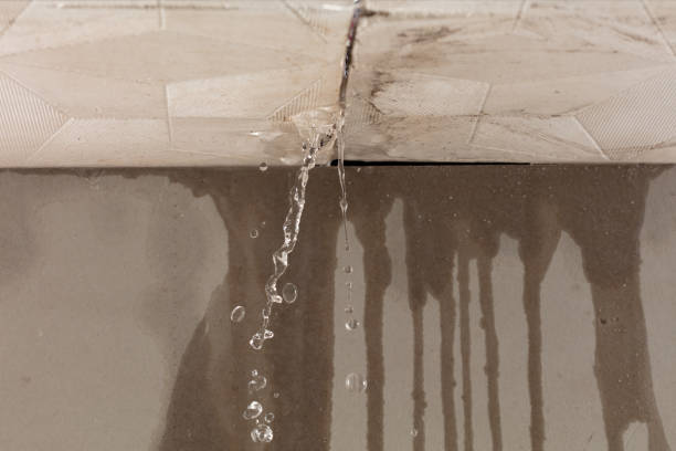Professional Structural Drying technician working in Highlands, NC